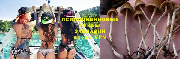 мет Баксан
