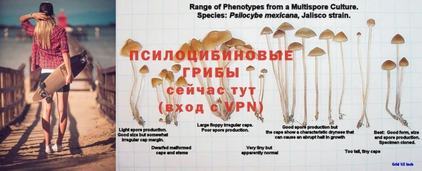 марки nbome Балабаново